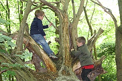 Egehjorten forestplayground - May 2015